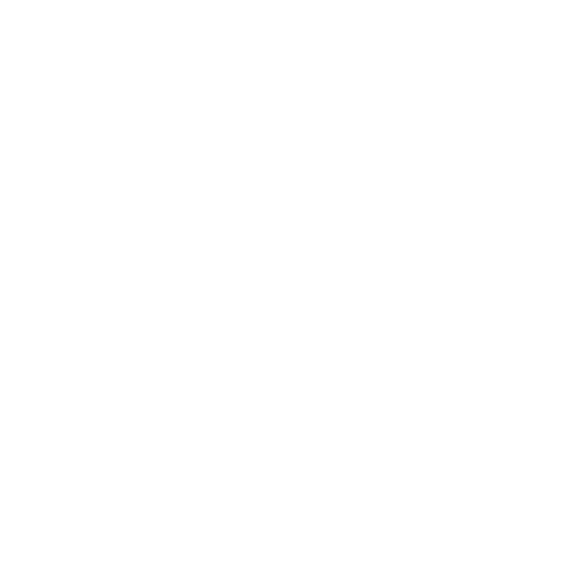 VIP программа
